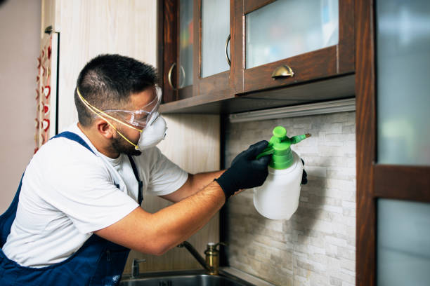 Best Best Pest Control Companies  in Golden, CO