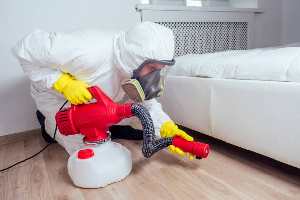 Best Emergency Pest Control  in Golden, CO
