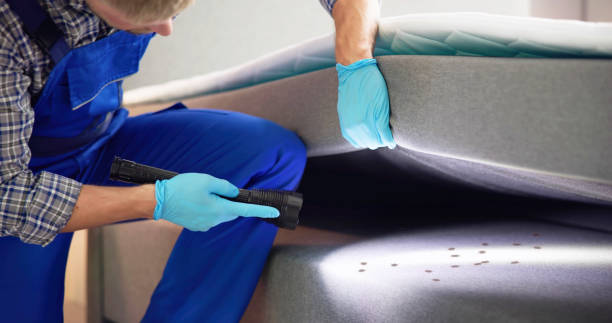 Best Bed Bug Extermination  in Golden, CO